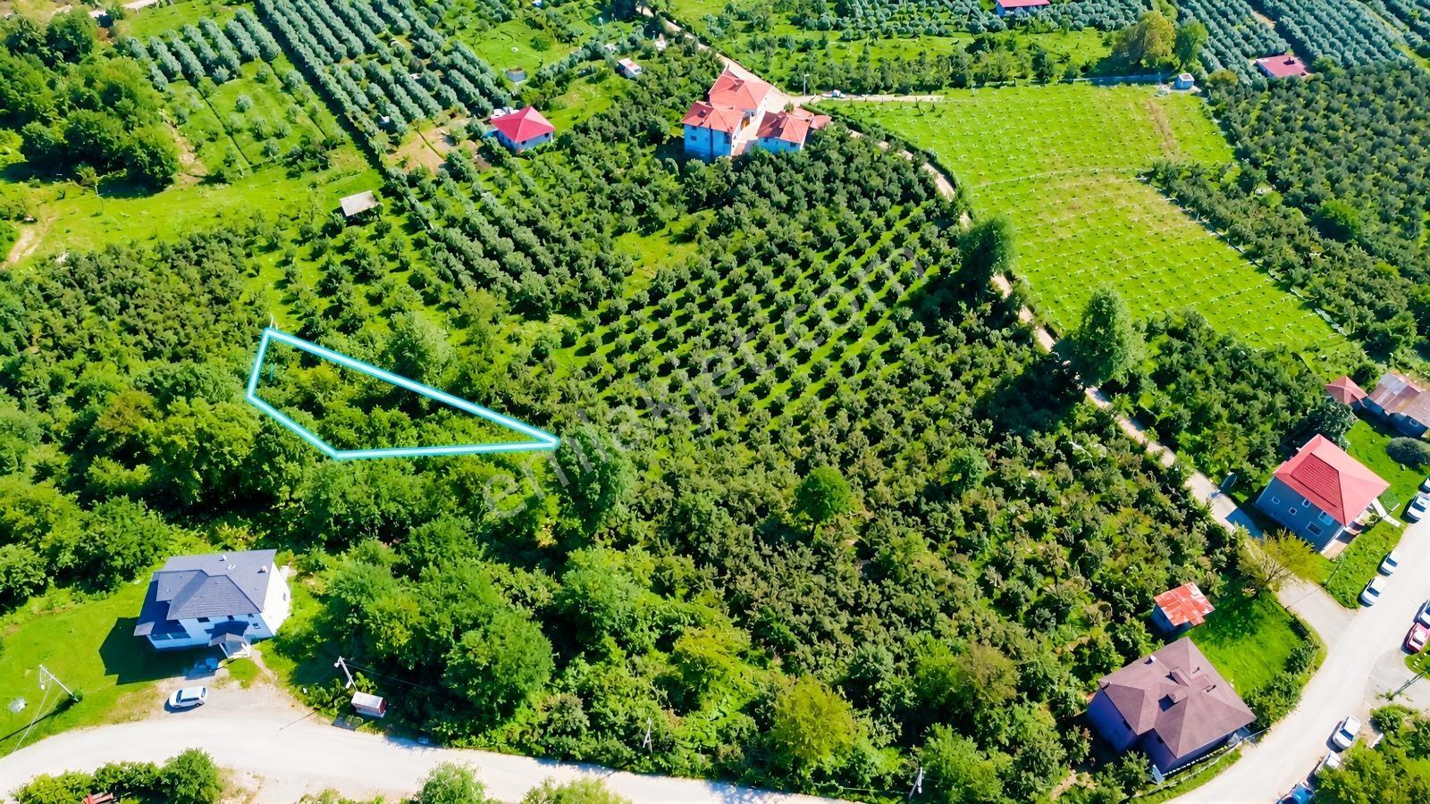 Vestha'Dan Efirli'De Harika Konum'Da Satılık Arsa 206M2!!!