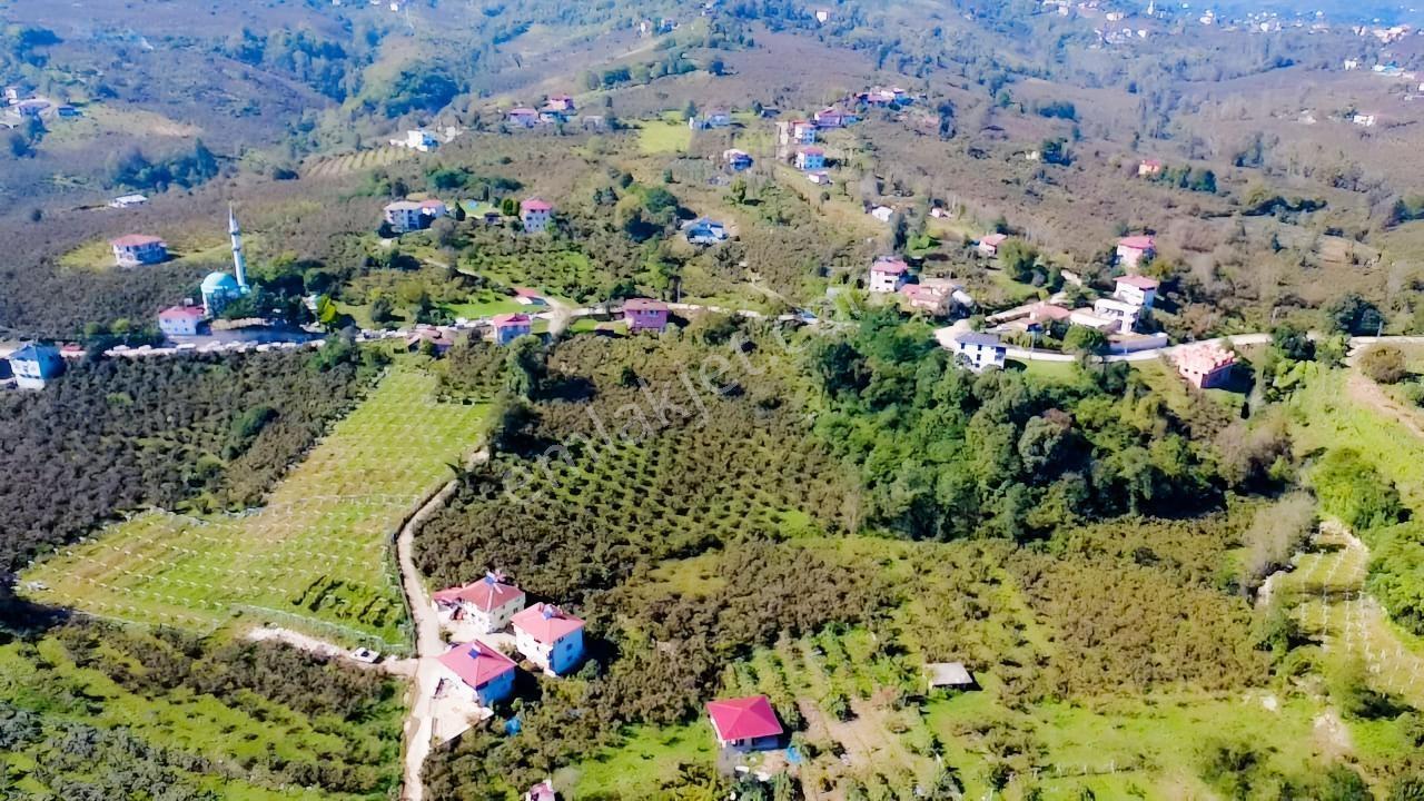Vestha'dan Efirli'de Harika Konum'da Satılık Arsa 206m2!!! — fotoğraf 2