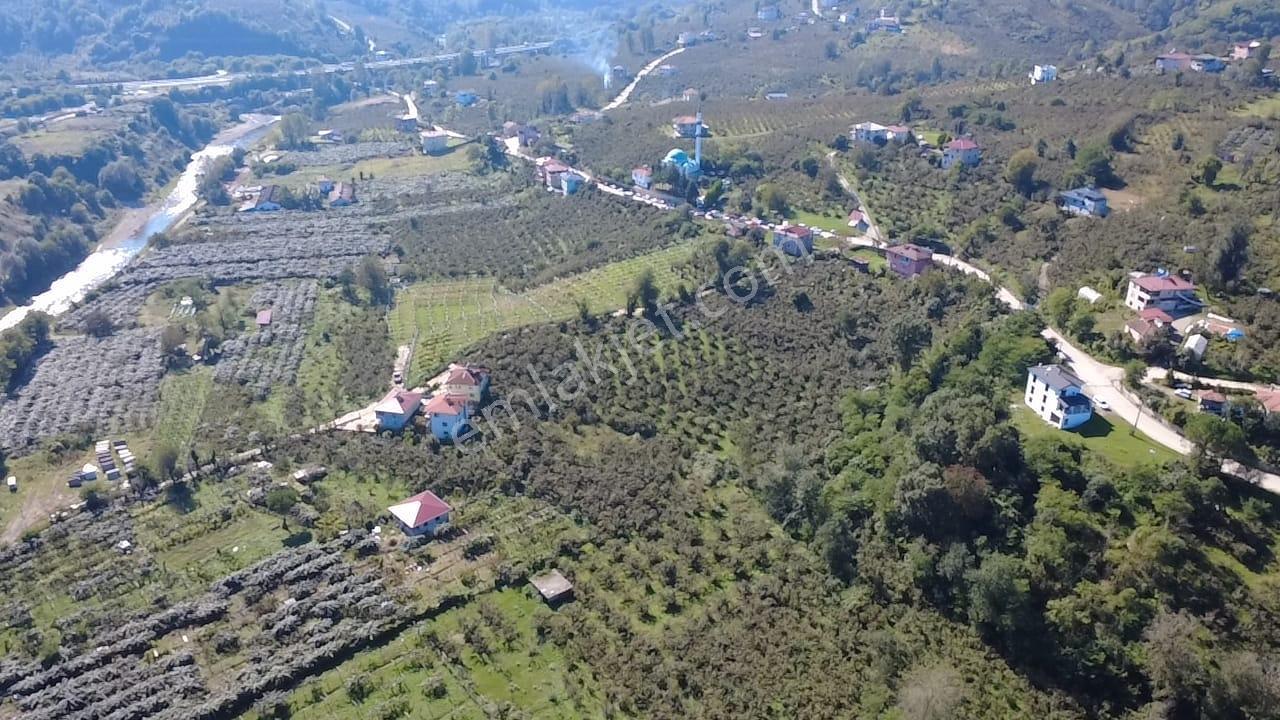 Vestha'dan Efirli'de Harika Konum'da Satılık Arsa 206m2!!! — fotoğraf 3