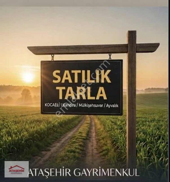 Kandıra Mülkişehsuvar 2.124 M2 Yatırım Fırsatı Tarla