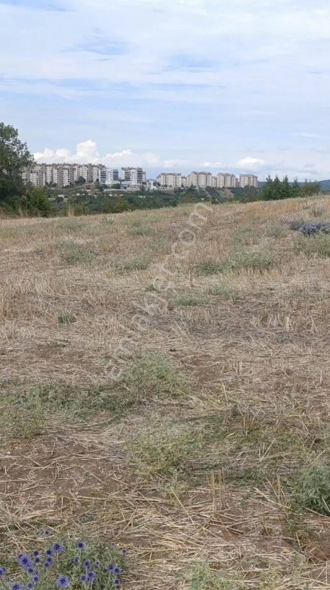Kayalardan Yunuselide İmarin Dibinde Degerli Yatırımlık Araziler — fotoğraf 3
