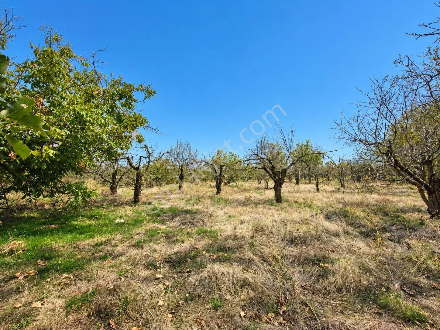 Atabey Gezirler'de 1920m2 Satılık Tarla — fotoğraf 2
