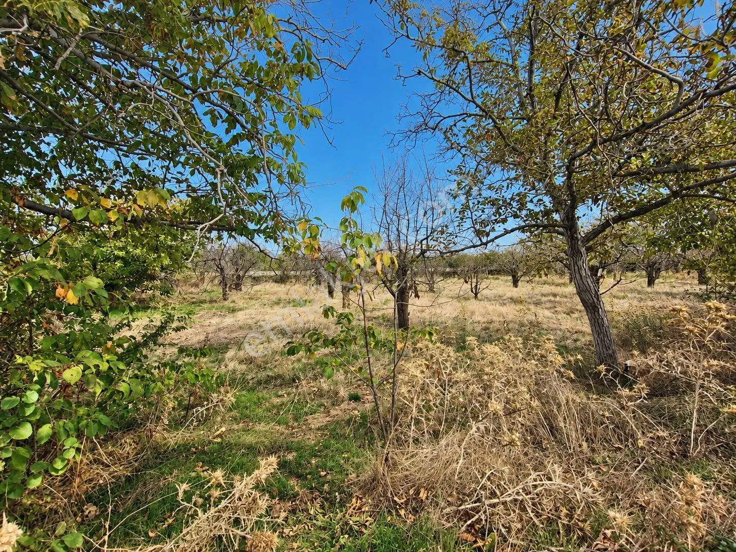 Atabey Gezirler'de 1920m2 Satılık Tarla — fotoğraf 3