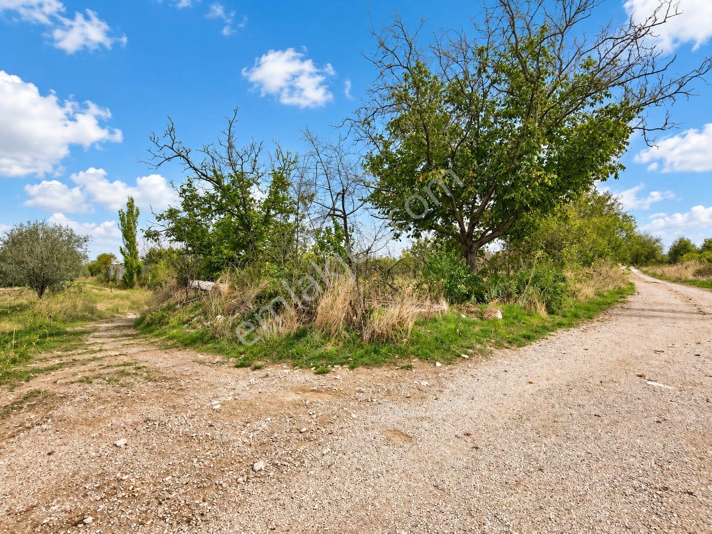 Atabey Gezirler'de 1920m2 Satılık Tarla — fotoğraf 6