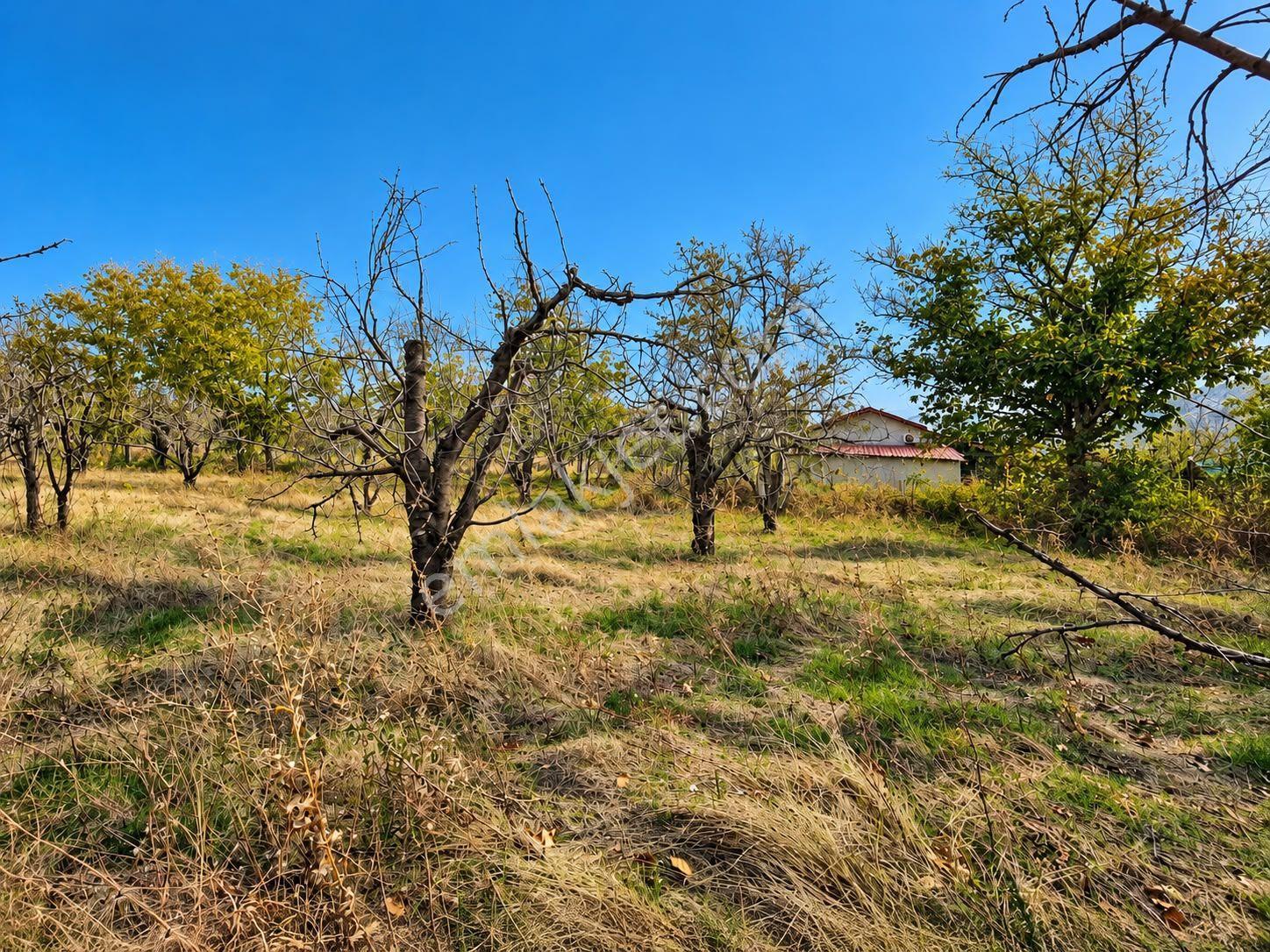 Atabey Gezirler'de 1920m2 Satılık Tarla — fotoğraf 8