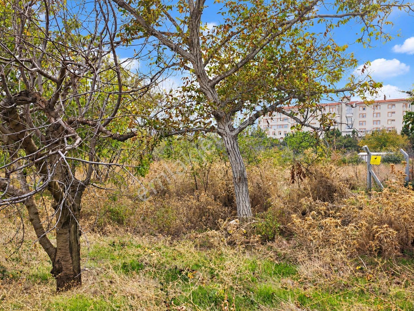 Atabey Gezirler'de 1920m2 Satılık Tarla — fotoğraf 11