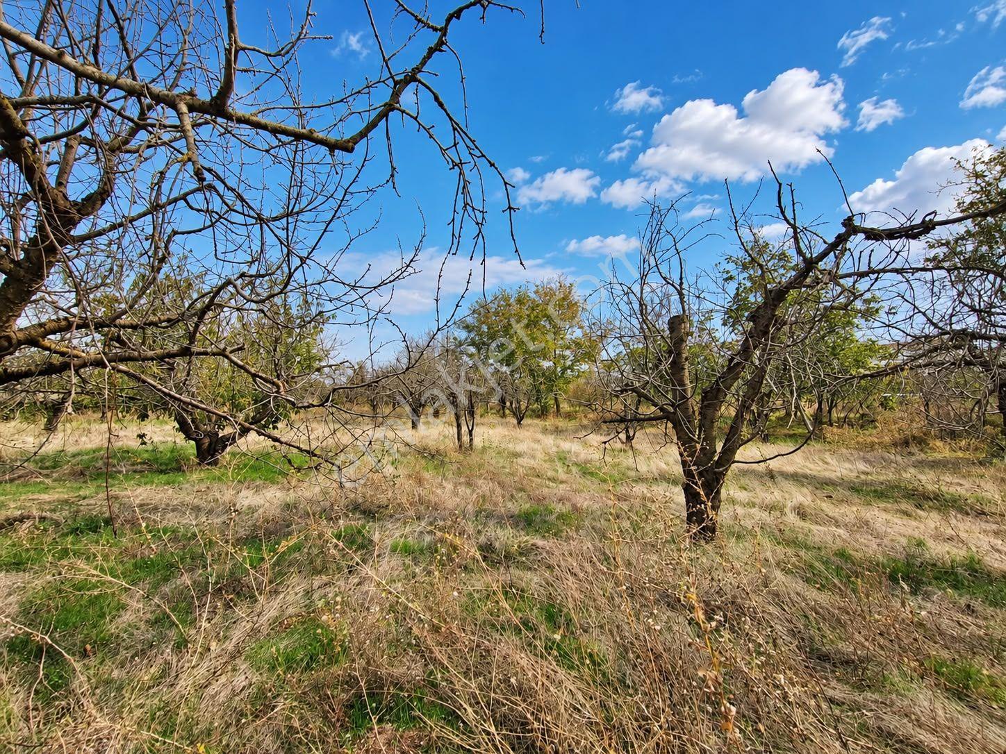Atabey Gezirler'de 1920m2 Satılık Tarla — fotoğraf 12
