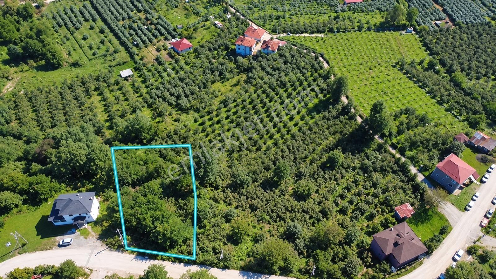 Vestha'Dan Efirli'De Harika Konum Satılık Arsa 1.111,17M2 !!!
