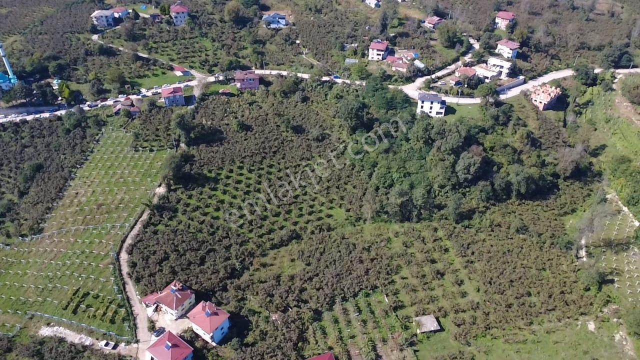 Vestha'dan Efirli'de Harika Konum Satılık Arsa 1.111,17m2 !!! — fotoğraf 2