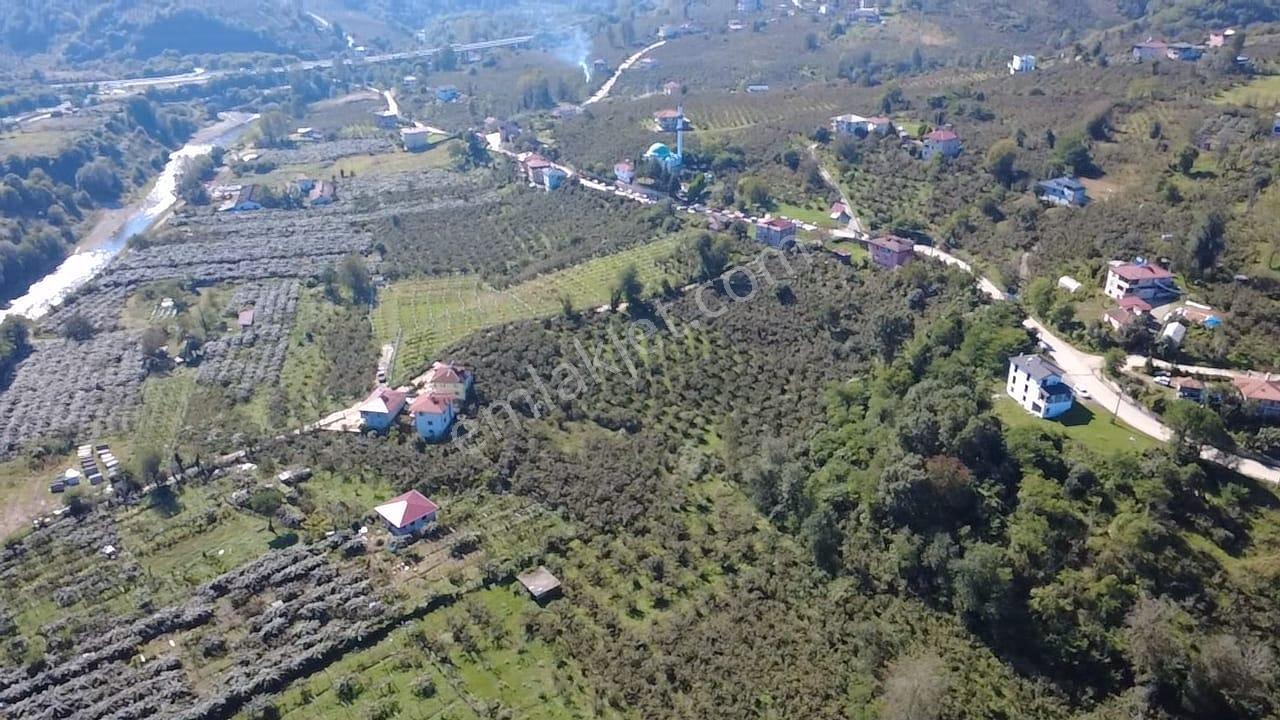 Vestha'dan Efirli'de Harika Konum Satılık Arsa 1.111,17m2 !!! — fotoğraf 4