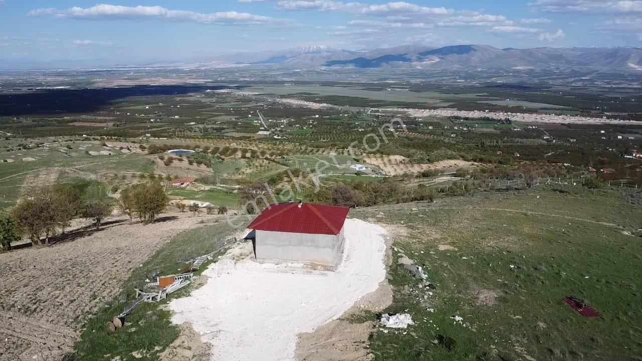 Akçadağ İkinciler’de Satılık Doğal Hayat Keyfi — fotoğraf 5