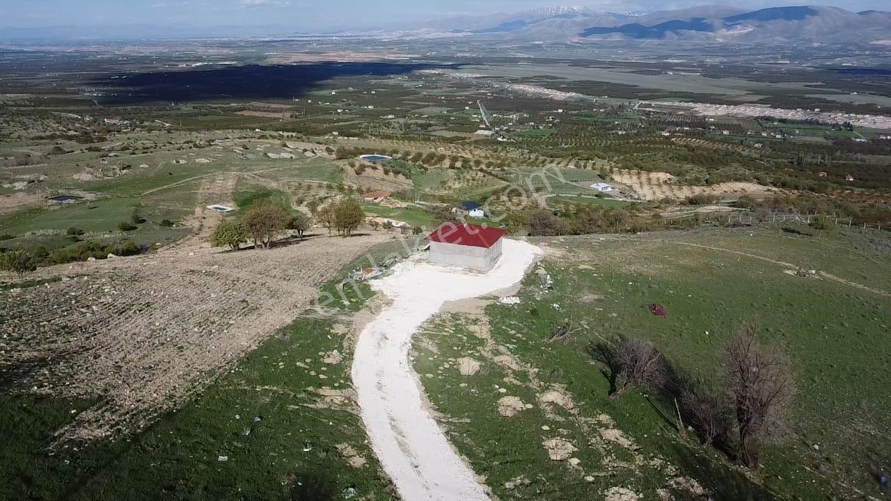 Akçadağ İkinciler’de Satılık Doğal Hayat Keyfi — fotoğraf 6