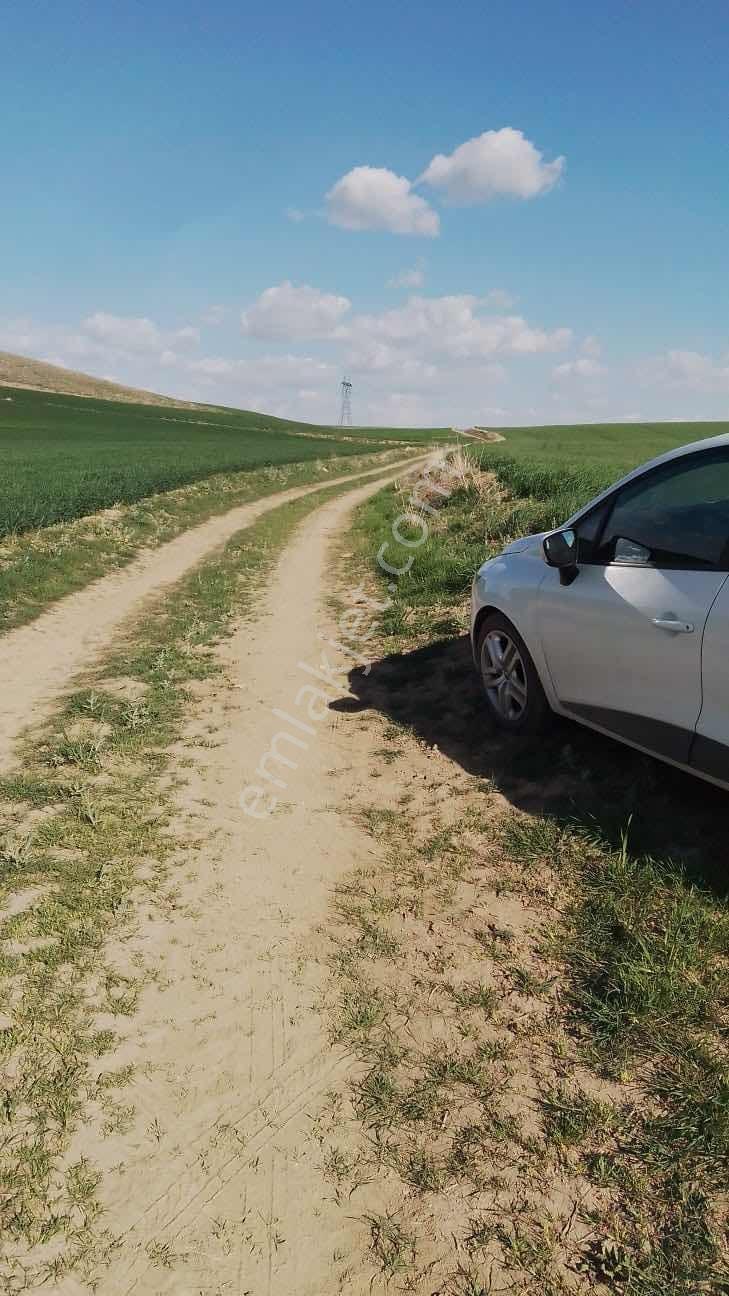 Polatlı Kargalıda Tek Tapu 17.360m2 Satılık Tarla