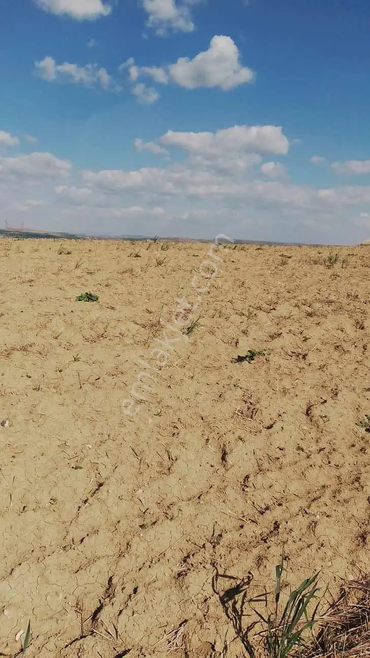 Polatlı Kargalıda Tek Tapu 17.360m2 Satılık Tarla — fotoğraf 2