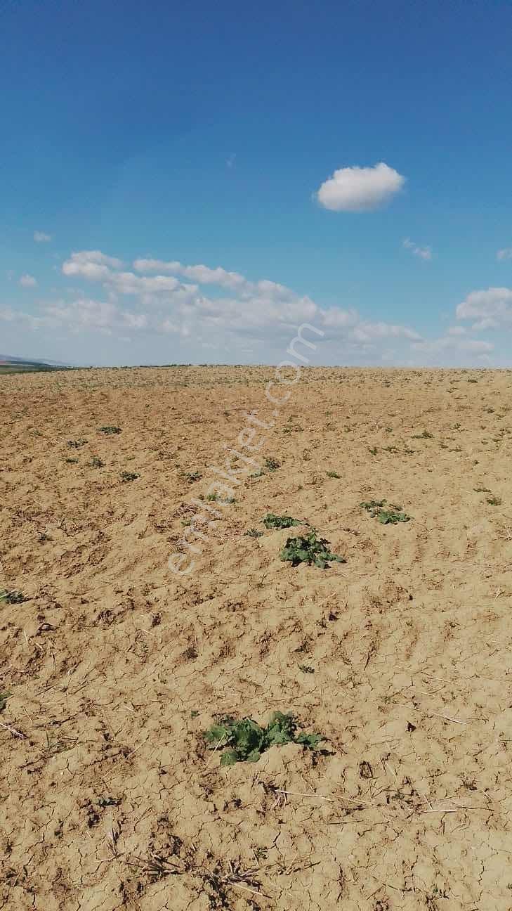 Polatlı Kargalıda Tek Tapu 17.360m2 Satılık Tarla — fotoğraf 4