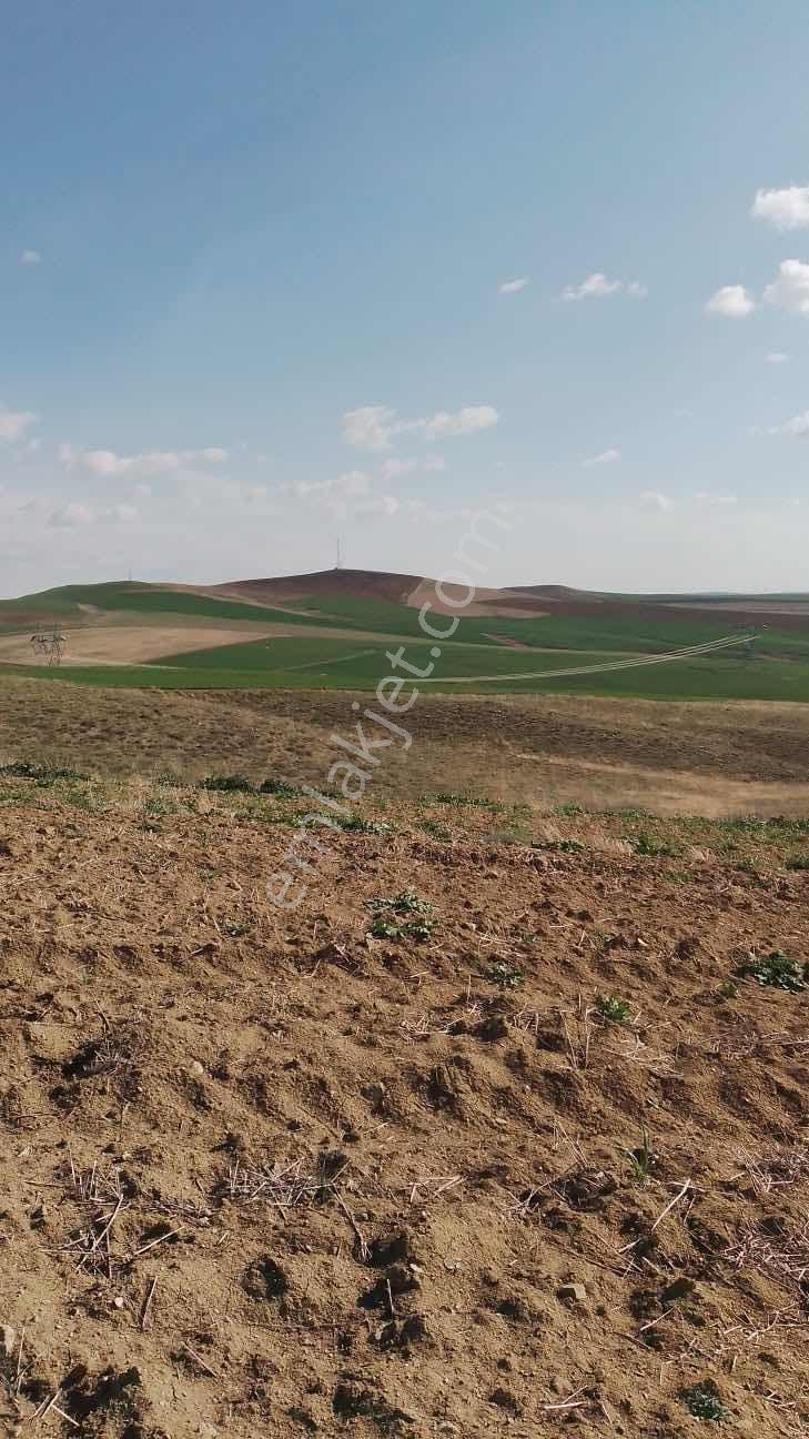 Polatlı Kargalıda Tek Tapu 17.360m2 Satılık Tarla — fotoğraf 5