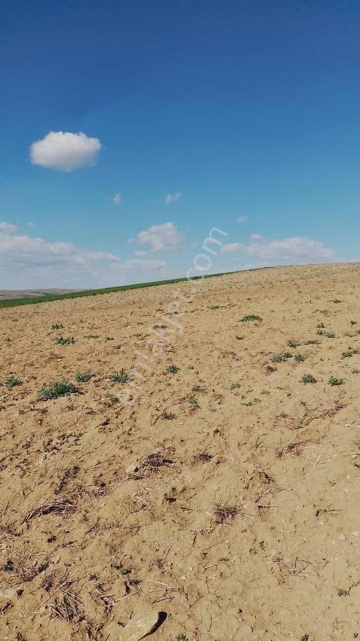 Polatlı Kargalıda Tek Tapu 17.360m2 Satılık Tarla — fotoğraf 6