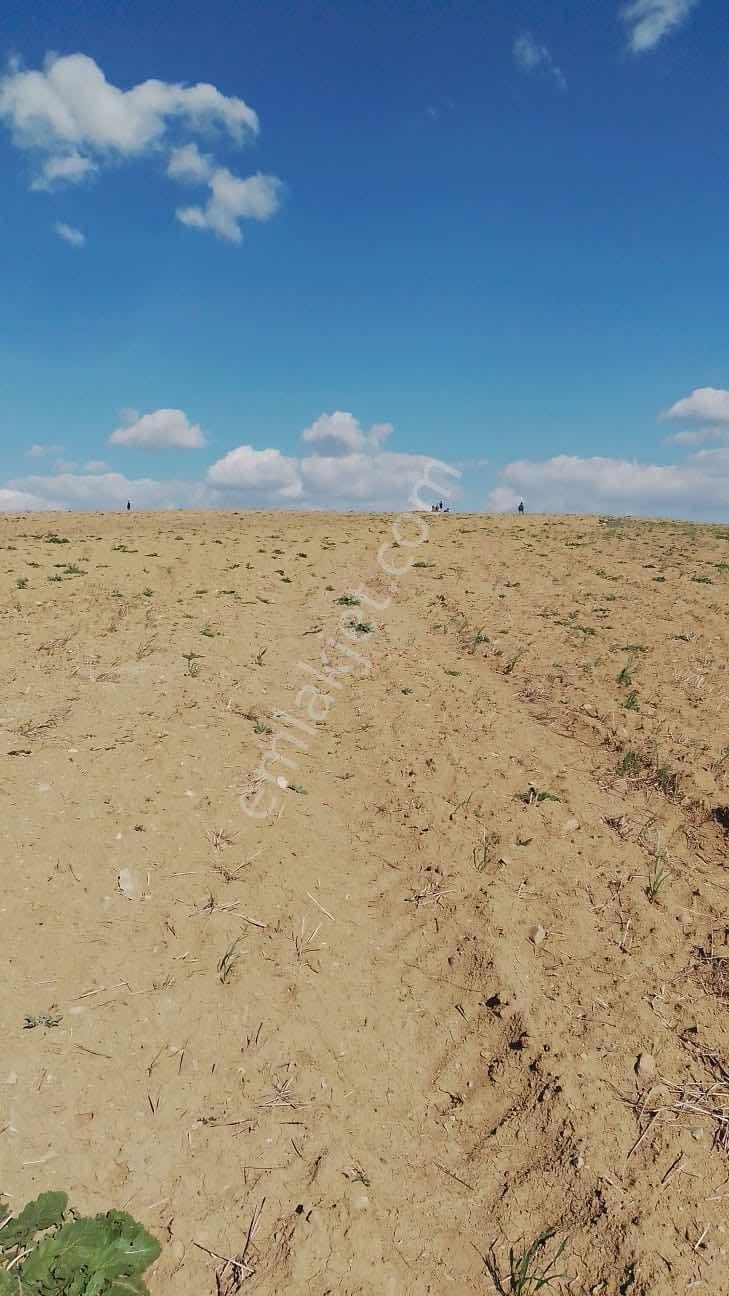 Polatlı Kargalıda Tek Tapu 17.360m2 Satılık Tarla — fotoğraf 7