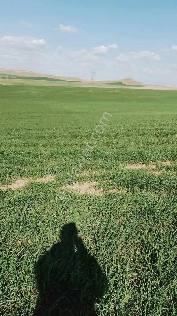 Polatlı Kargalıda Tek Tapu 17.360m2 Satılık Tarla — fotoğraf 8
