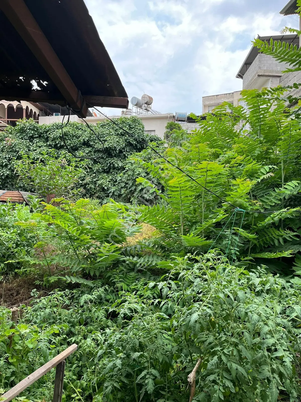 Makam Cami Karşı Sokağı Şehitkerim Mah. 236m2 Satılık Arsa — fotoğraf 7