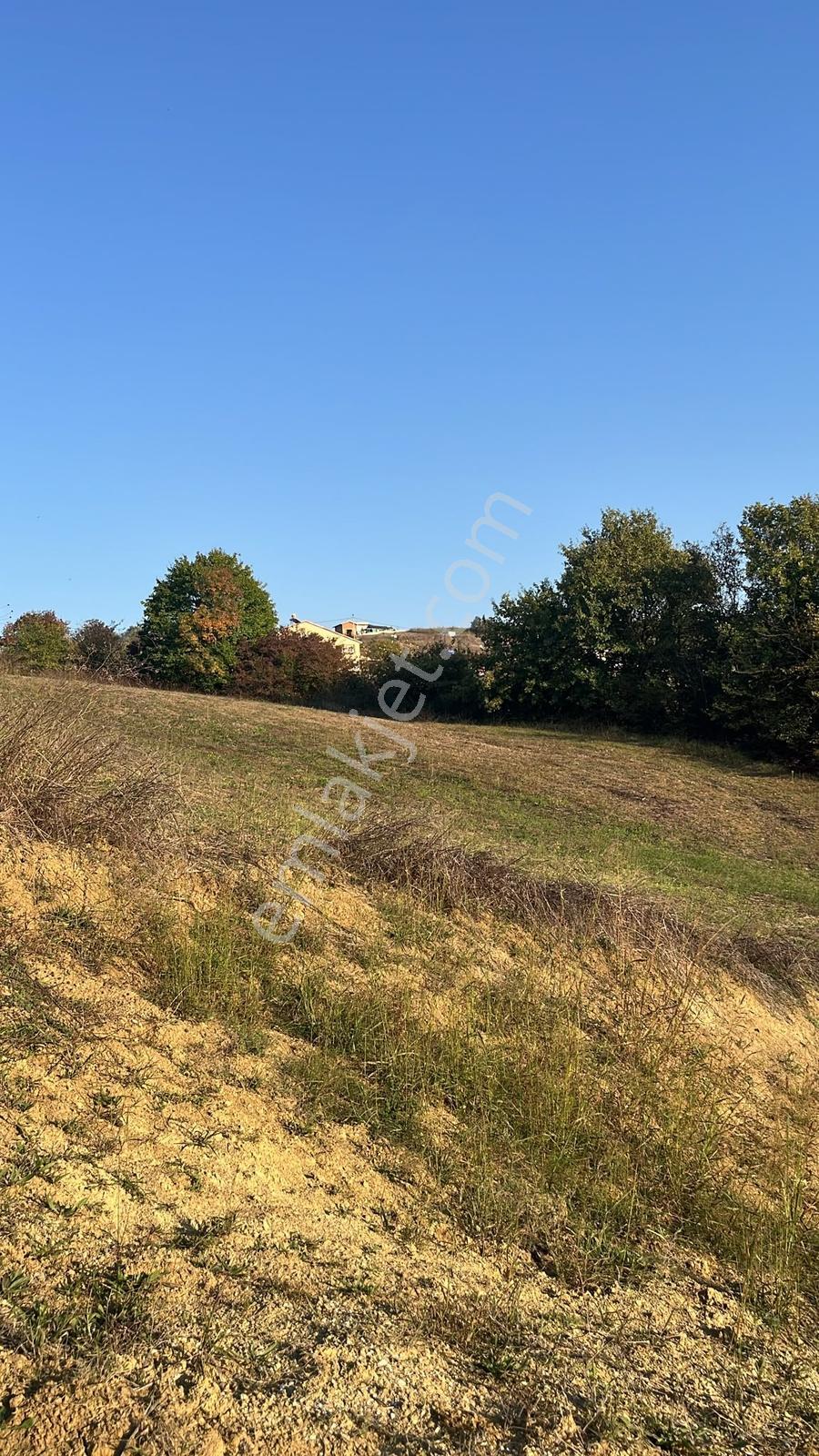 Derince Kaşıkçı'da 2.992 M² Elektrik Su Hazır Fırsat Arazi — fotoğraf 7