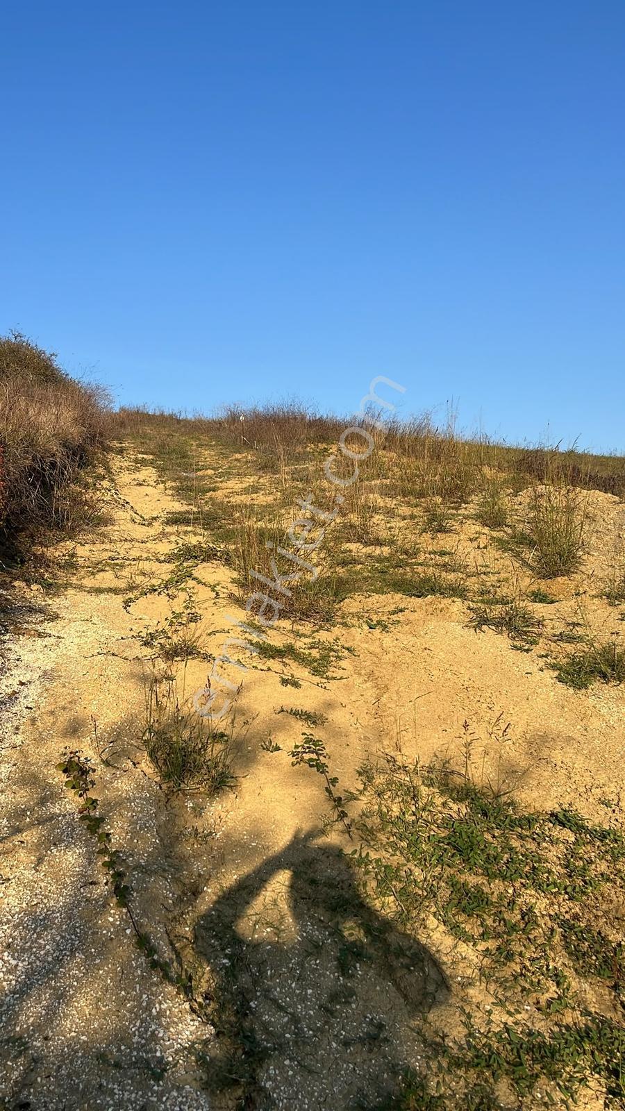 Derince Kaşıkçı'da 2.992 M² Elektrik Su Hazır Fırsat Arazi — fotoğraf 9