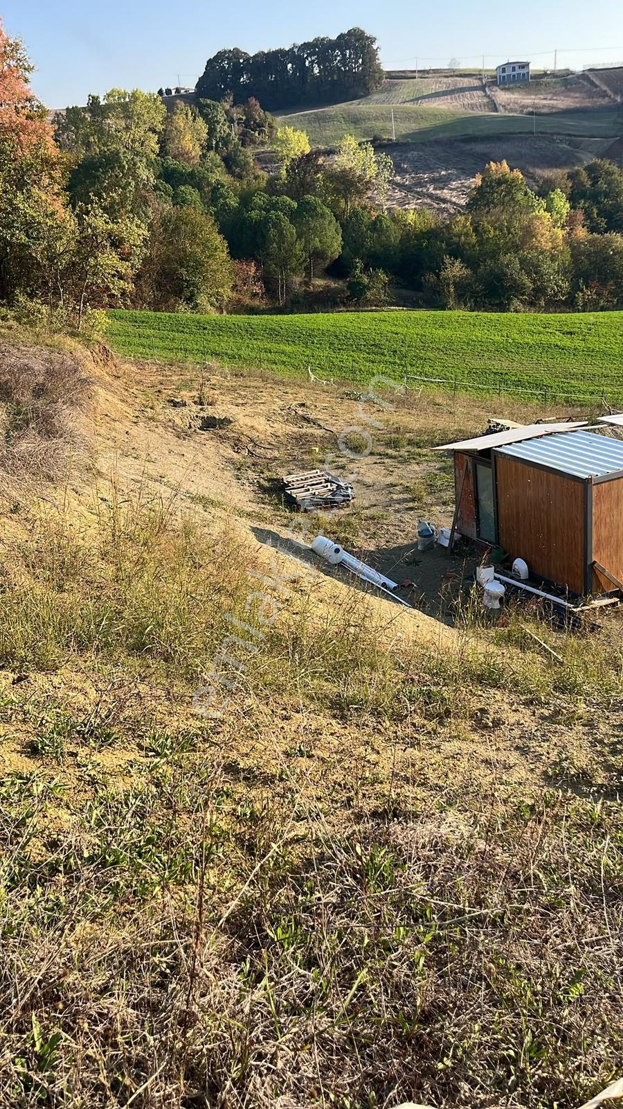 Derince Kaşıkçı'da 2.992 M² Elektrik Su Hazır Fırsat Arazi — fotoğraf 12