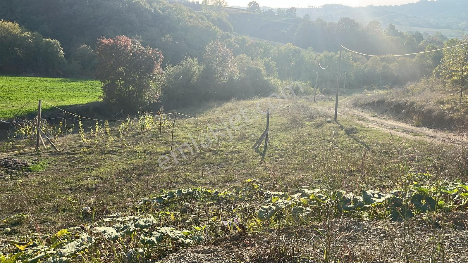 Derince Kaşıkçı'da 2.992 M² Elektrik Su Hazır Fırsat Arazi — fotoğraf 16