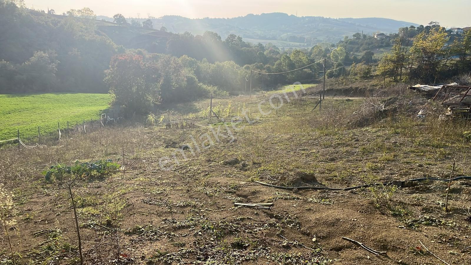 Derince Kaşıkçı'da 2.992 M² Elektrik Su Hazır Fırsat Arazi — fotoğraf 17