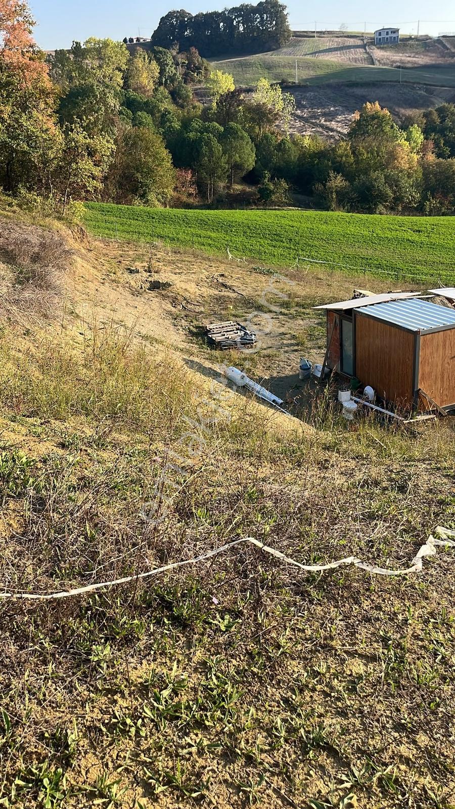 Derince Kaşıkçı'da 2.992 M² Elektrik Su Hazır Fırsat Arazi — fotoğraf 19