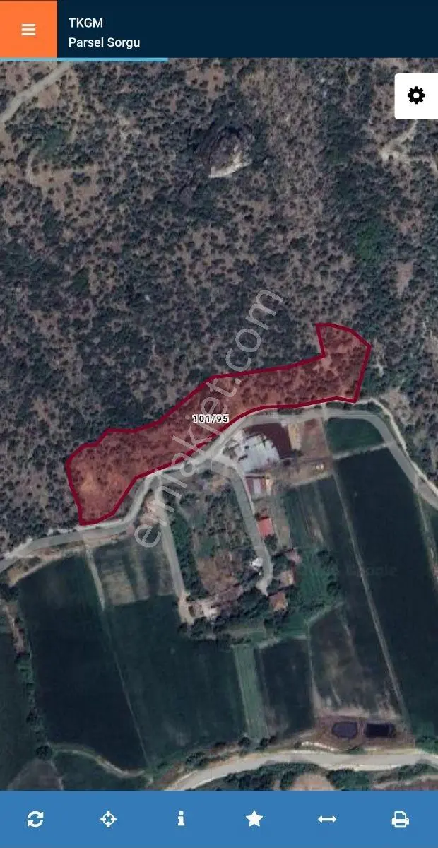 Söke Kisir Köyünde Satılık 5.519 M² Yol Cephe Zeytin Bahçesi — fotoğraf 9