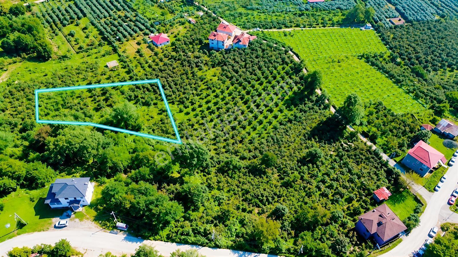 Vestha'Dan Efirli'De Harika Konum'Da Satılık Arsa1.200M2 !!!