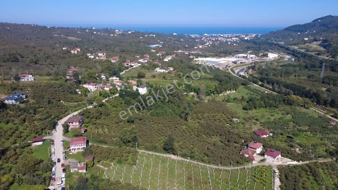 Vestha'dan Efirli'de Harika Konum'da Satılık Arsa1.200m2 !!! — fotoğraf 2