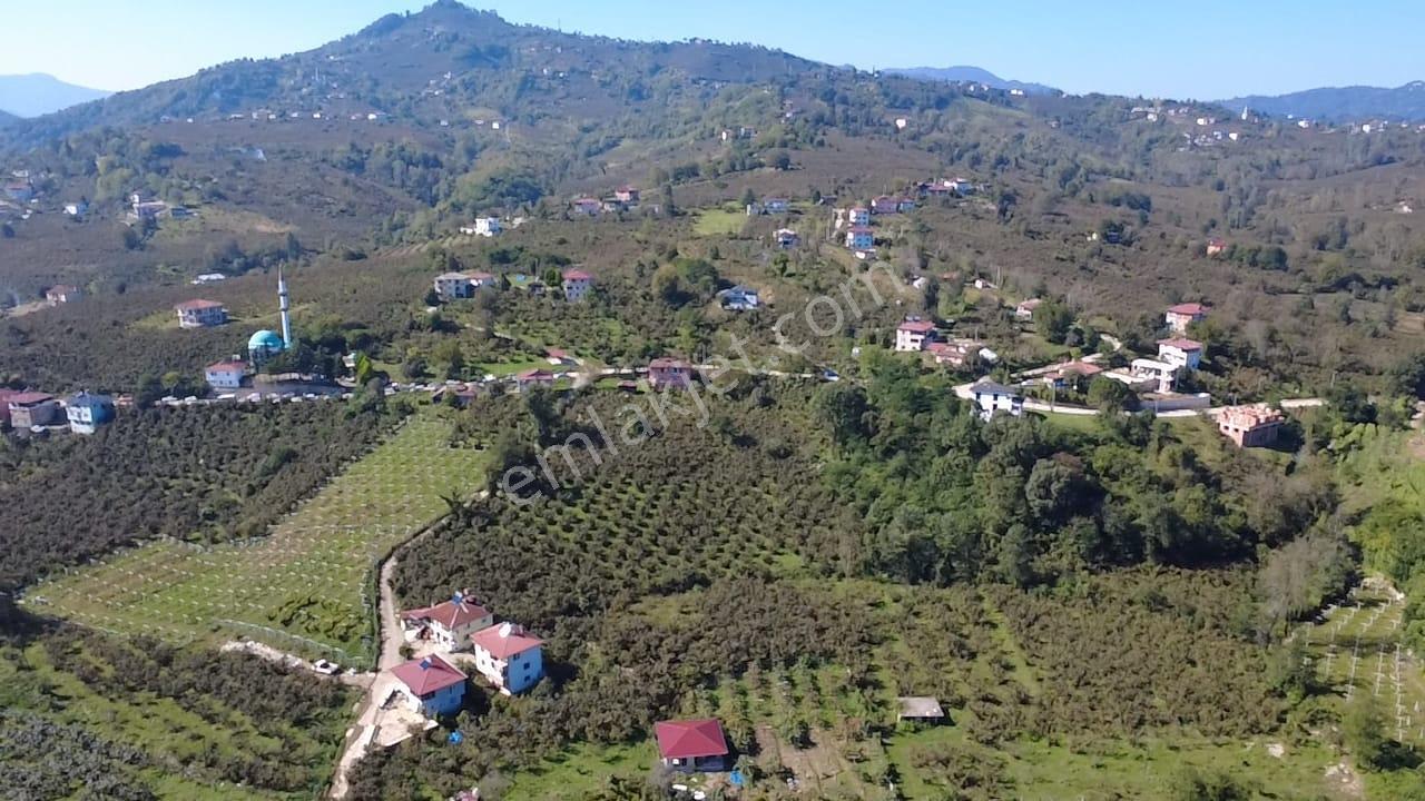 Vestha'dan Efirli'de Harika Konum'da Satılık Arsa1.200m2 !!! — fotoğraf 3