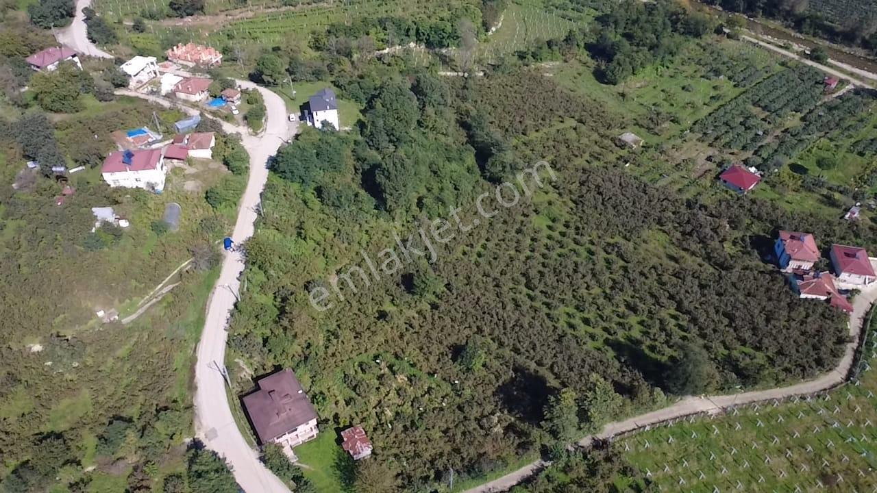 Vestha'dan Efirli'de Harika Konum'da Satılık Arsa1.200m2 !!! — fotoğraf 4
