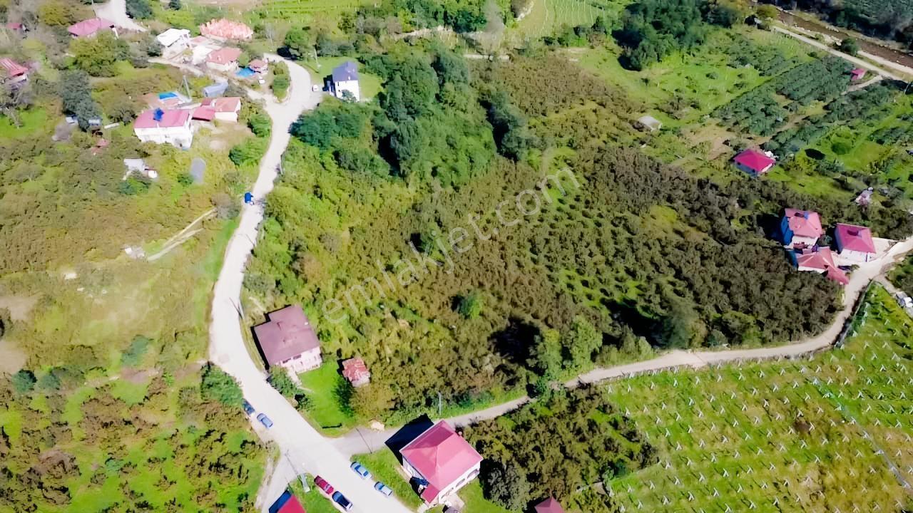 Vestha'dan Efirli'de Harika Konum'da Satılık Arsa1.200m2 !!! — fotoğraf 5