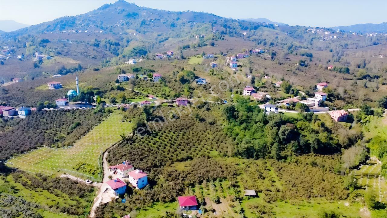 Vestha'dan Efirli'de Harika Konum'da Satılık Arsa1.200m2 !!! — fotoğraf 6