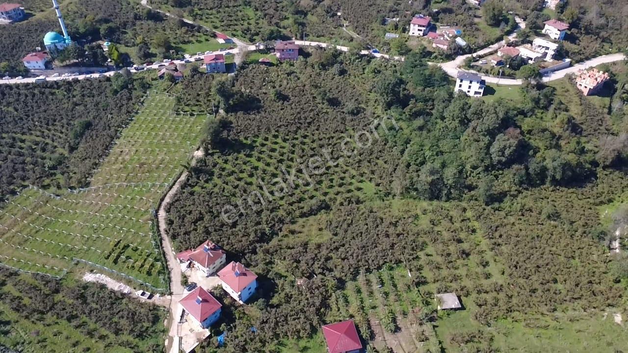 Vestha'dan Efirli'de Harika Konum'da Satılık Arsa1.200m2 !!! — fotoğraf 7