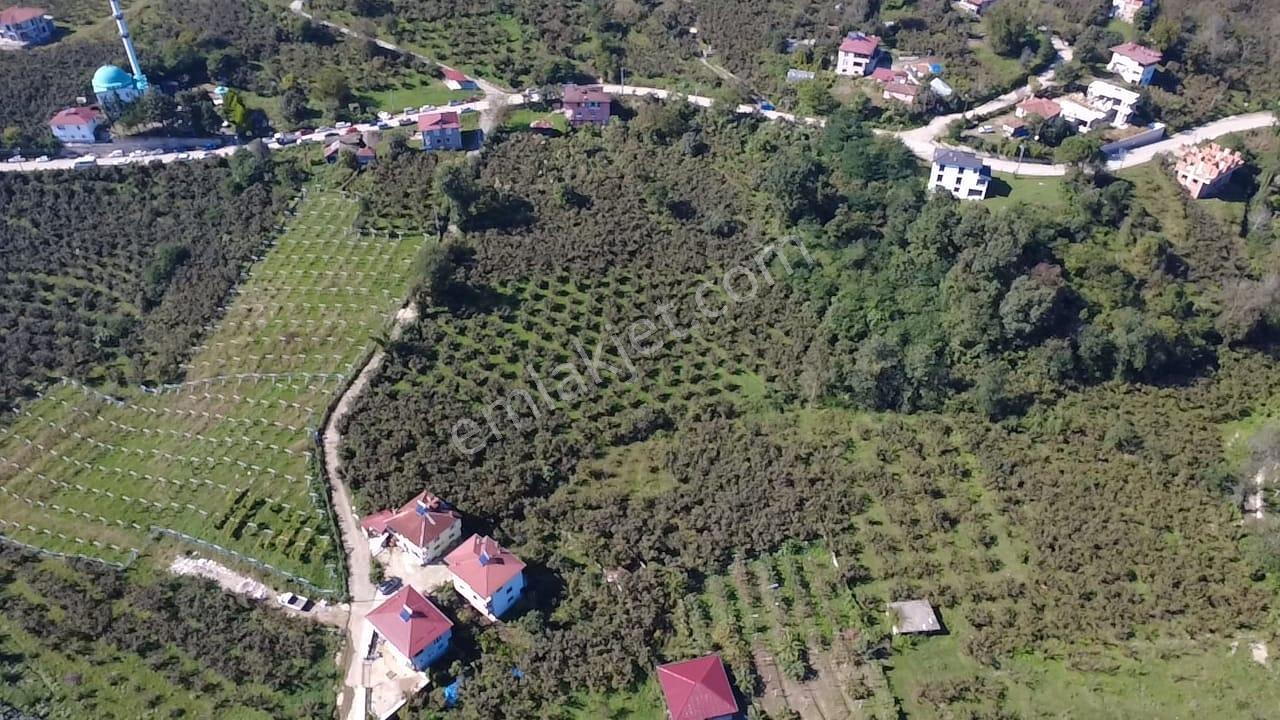 Vestha'dan Efirli'de Harika Konum'da Satılık Arsa1.200m2 !!! — fotoğraf 8