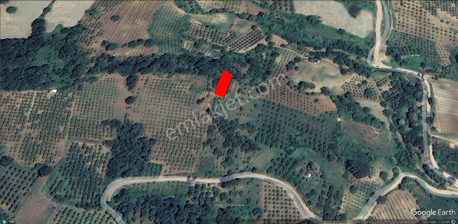 Roma' Dan Dipsizgöl Mahallesi' Nde Satılık Tarla