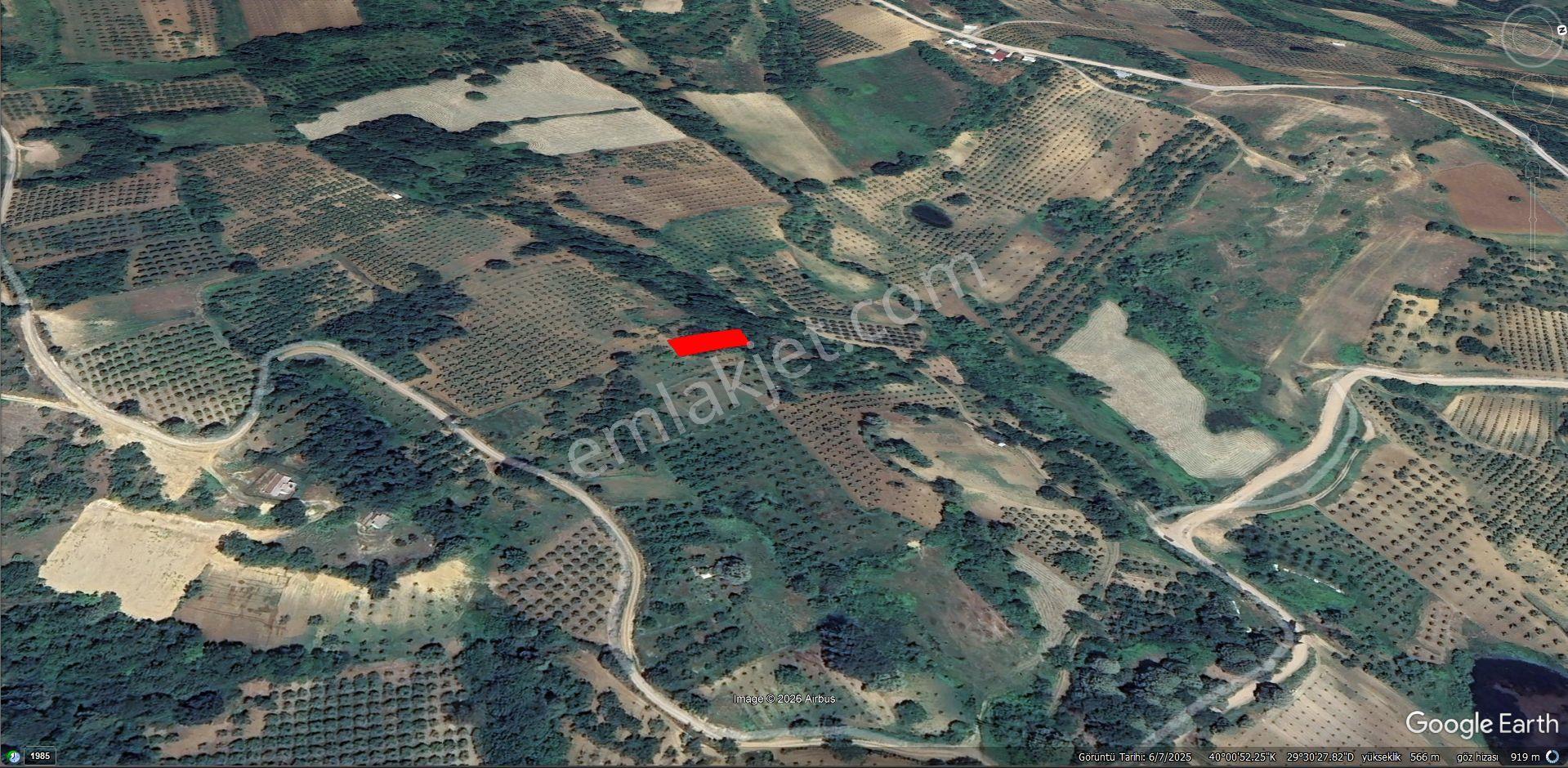 Roma' Dan Dipsizgöl Mahallesi' Nde Satılık Tarla — fotoğraf 2