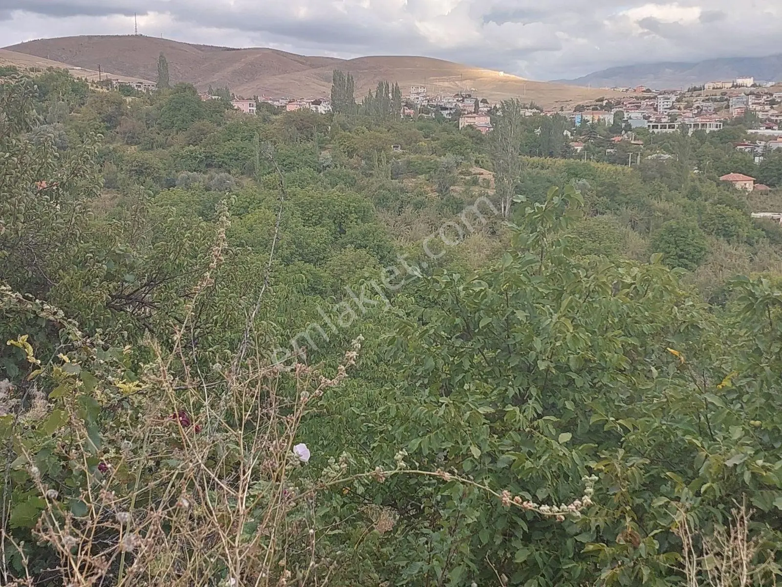 Çamardı Maden'de Satılık Toplamı 1.095 M² 3 Adet İmarlı Arsa. — fotoğraf 10