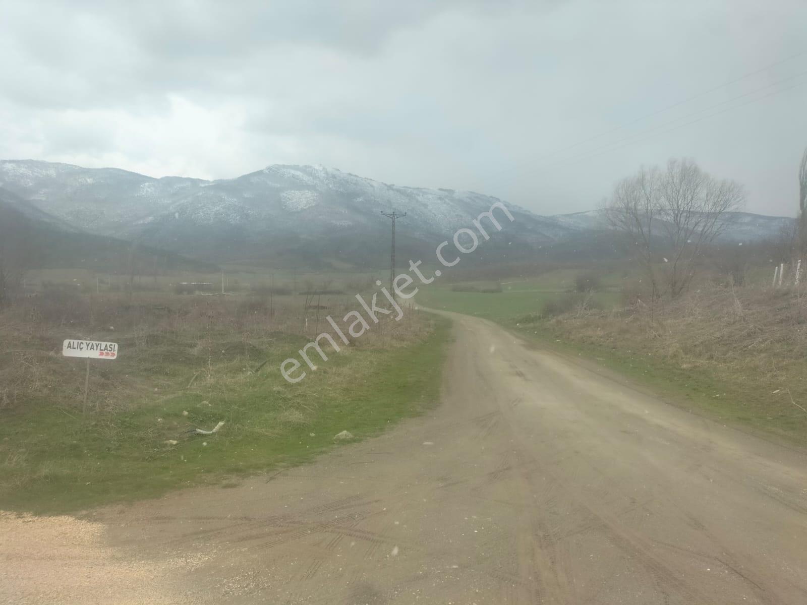 Boyun Kaya Köyü Alıç Yaylasında Her İşe Uygun 4.500 M2 Arazi..