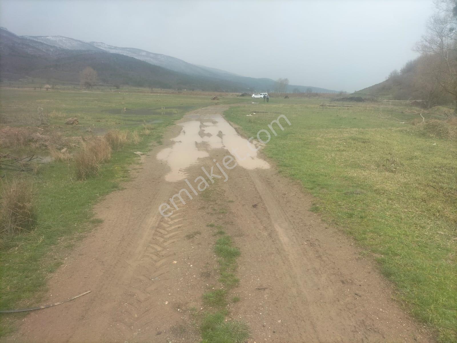 Boyun Kaya Köyü Alıç Yaylasında Her İşe Uygun 4.500 M2 Arazi.. — fotoğraf 2