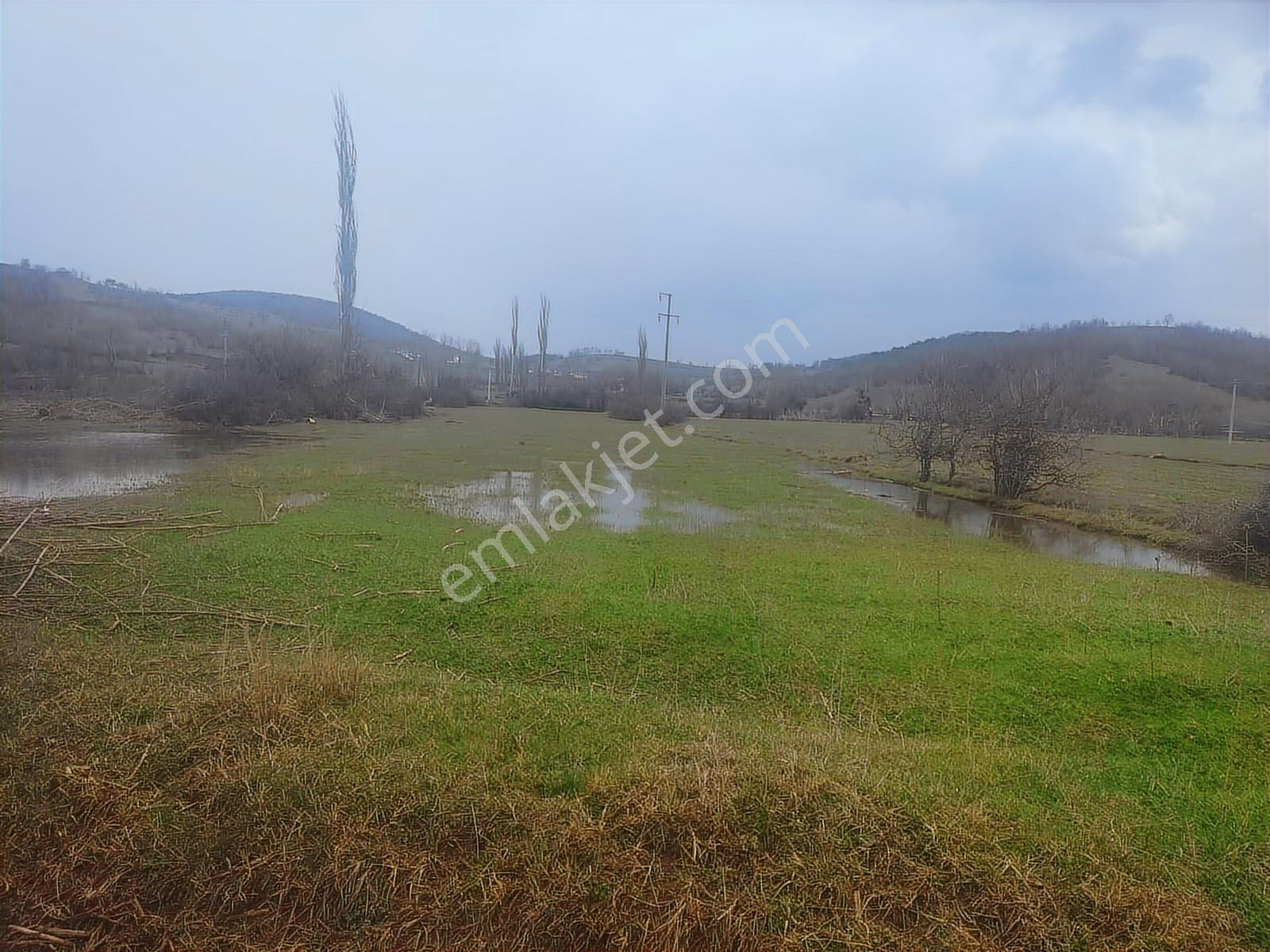 Boyun Kaya Köyü Alıç Yaylasında Her İşe Uygun 4.500 M2 Arazi.. — fotoğraf 3