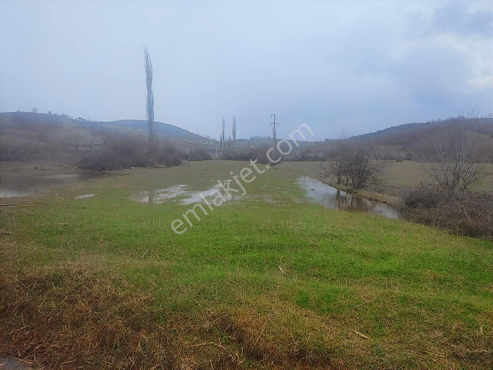 Boyun Kaya Köyü Alıç Yaylasında Her İşe Uygun 4.500 M2 Arazi.. — fotoğraf 4