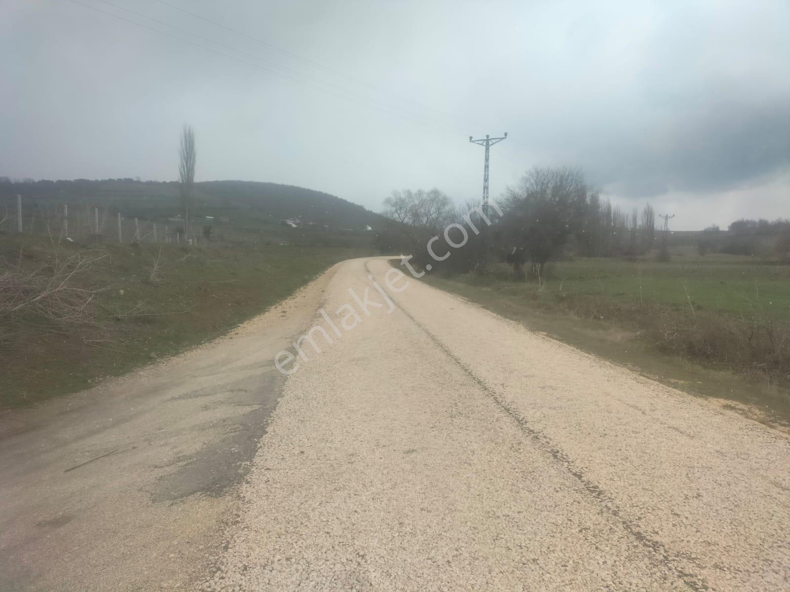 Boyun Kaya Köyü Alıç Yaylasında Her İşe Uygun 4.500 M2 Arazi.. — fotoğraf 7