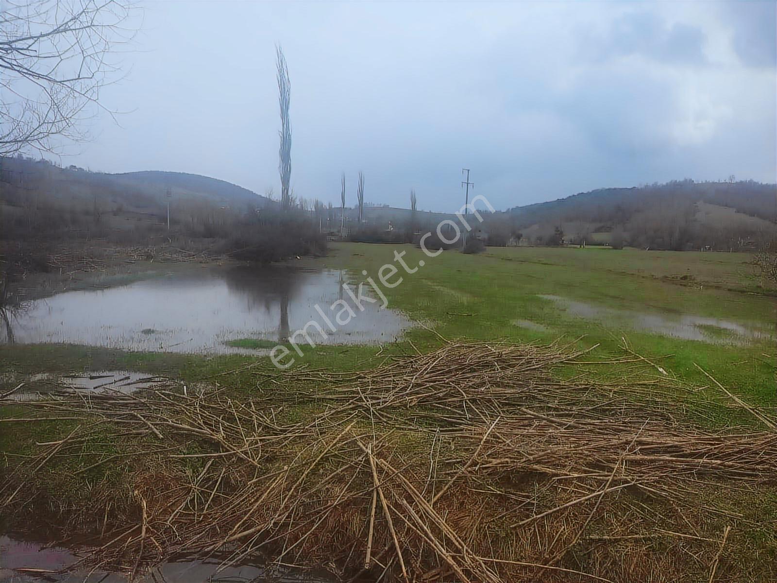 Boyun Kaya Köyü Alıç Yaylasında Her İşe Uygun 4.500 M2 Arazi.. — fotoğraf 8