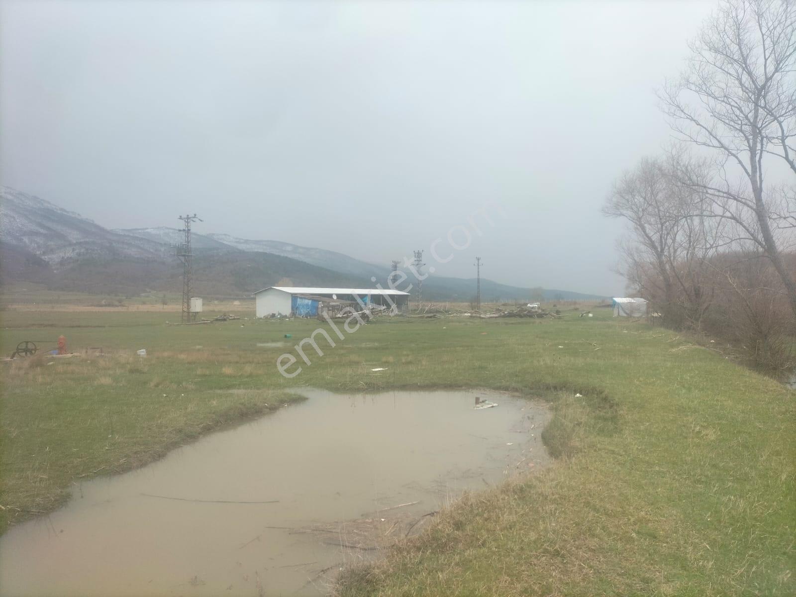 Boyun Kaya Köyü Alıç Yaylasında Her İşe Uygun 4.500 M2 Arazi.. — fotoğraf 9