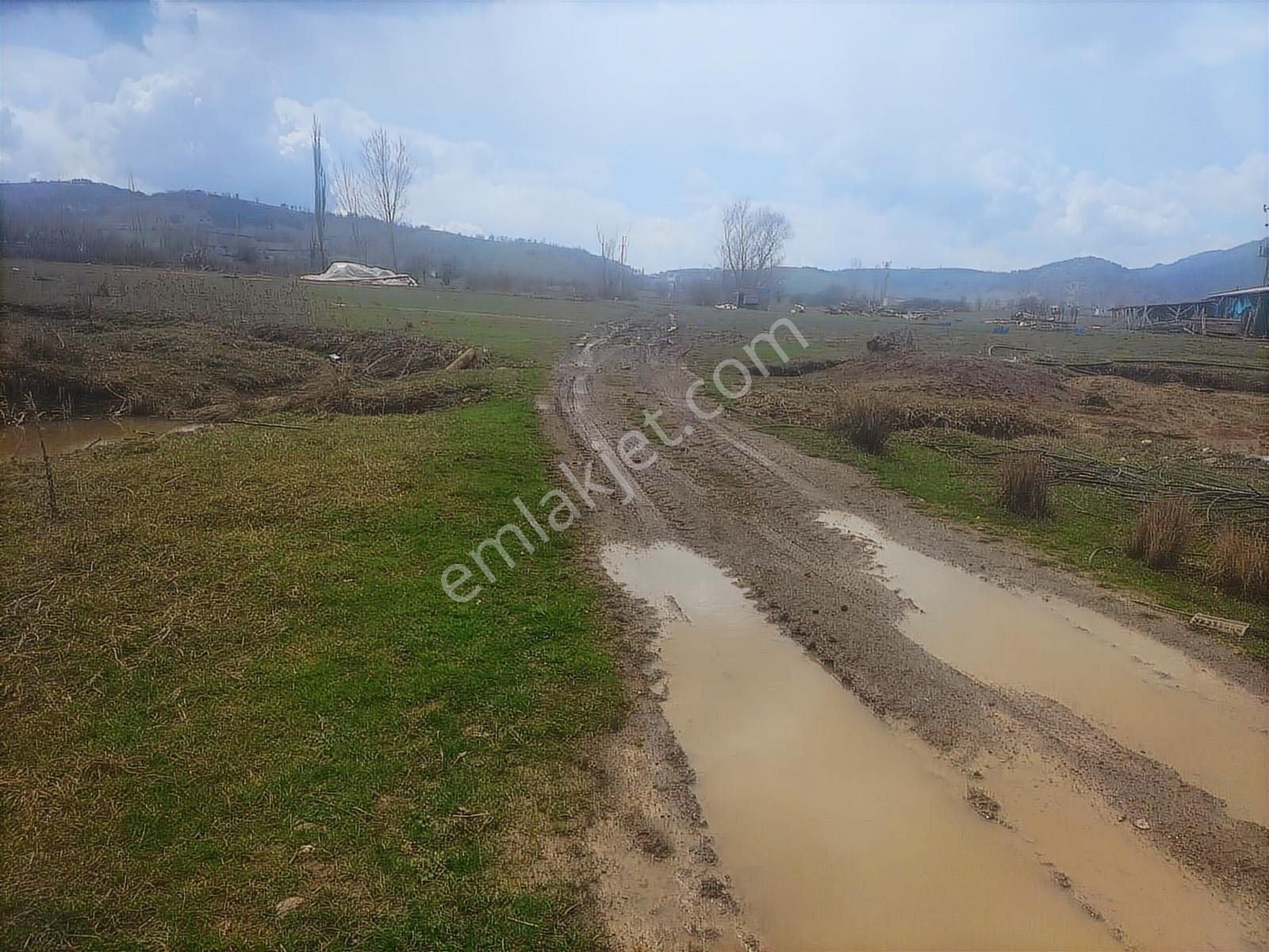 Boyun Kaya Köyü Alıç Yaylasında Her İşe Uygun 4.500 M2 Arazi.. — fotoğraf 10